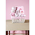 Little Princess Baby Gift Basket