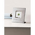 Framed Four-leaf Clover
