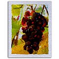 Sherrie Rieger 'Vino' Giclee on Brushed Metal