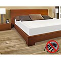 10-inch Queen-size Antibacterial Silver-treated Memory Foam Mattress