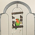 Brainy Bird Natural Knots 'Timber Tie' Bird Toy