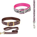 Wild Side Collar/Lead Set - 8 to 11-inch collar/4 foot lead