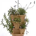 What Are Herbs? A Definition. T12389392 What Are Herbs? A Definition.