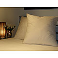 Decorator 28x28-inch Euro Pillow Set (Set of 2)