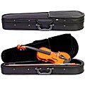 Beginner Violin W/ Case