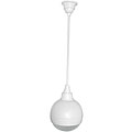 Pyle PBS50W 100-watt Hanging 5-inch Ball Pendent Speaker