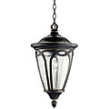 Outdoor 1-light Rubbed Onyx Pendant