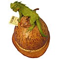 Coconut Wood Green Iguana Piggy Bank (Thailand)