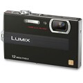 Panasonic Lumix DMC-FP8-K 12.1 MP Black Digital Camera