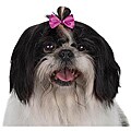 Very Berry Dog Bows (Pack of 48)