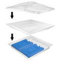 Gourmet Display Ice Packs for Square Chiller (Ser of 2)