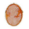 14k Yellow Gold Hand-carved Shell Cameo Brooch