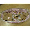 Pink Minkie Dot Moses Basket Set