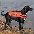 Outward Hound Pet Saver Orange Medium Life Jacket (Pack of 12)