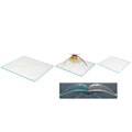 Gourmet Display Square Flat Acrylic Trays (Set of 3)
