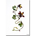 Kathie McCurdy 'May Morning' Gallery-wrapped Canvas Art