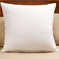 Euro Square Pillows (Set of 2)