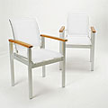 Terrazza White Outdoor Dining Arm Chairs (Set of 2)