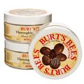 Burt's Bees Honey and Shea Butter Body Butter (Pack of 3)