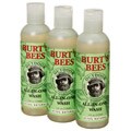 Burt's Bees Outdoor All-in-one 4-ounce Wash (Pack of 3)
