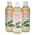 Burt's Bees Green Tea and Fennel Seed Shampoo (Pack of 3)