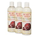 Burt's Bees Pomegranate and Soy 12-ounce Conditioner (Set of 3)