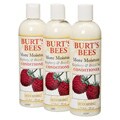 Burt's Bees Rasberry/ Brazil Nut 12-ounce Conditioner (Pack of 3)