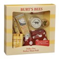 Burt's Bees Polka Dot Mani-pedi and Bee Keeper Lip Balm Kit