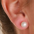 14k Yellow Gold Cultured Akoya Pearl Earrings (7-7.5 mm)