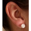 14k Akoya Cultured Pearl Earrings (8-8.5mm)