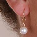 14k Cultured Akoya Pearl Lever back Earrings (8-8.5mm)