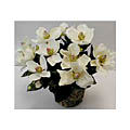 White Magnolia Double-potted Silk Bush
