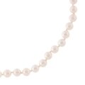 14k Akoya Cultured Pearl Necklace (5.5-6/30in.)
