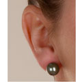 14k Black Tahitian Cultured Pearl Earrings (9.5-10mm)