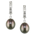 14k Gold Cultured Tahitian Pearl Earrings (9 mm)