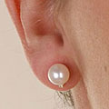 14-kt. Akoya Pearl Diamond Earrings (7-7.5mm)