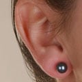 Black Cultured Akoya Pearl Stud Earrings (6.5-7mm)