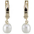 14k Yellow Gold Freshwater Pearl Earrings