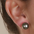 14k Gold Cultured Black Tahitian Pearl Earrings (11-12 mm)
