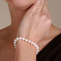 14k Akoya Cultured Pearl Bracelet (7.5-8 mm/7 in)