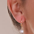 14k Gold Cultured Akoya Pearl Leverback Earring (7-7.5mm)
