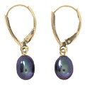 14k Black Cultured Freshwater Pearl Leverback Earrings (6-7mm)