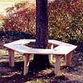 Around-the-Tree Bench