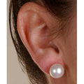14k Gold White South Sea Cultured Pearl Earrings (10 mm)