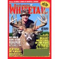North American Whitetail