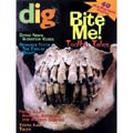 Dig