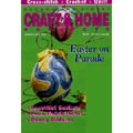 Decorating Digest Craft & Home