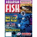 Aquarium Fish