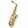 Band/Orchestra Alto Saxophone Package