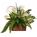 Fern Silk Plant Basket